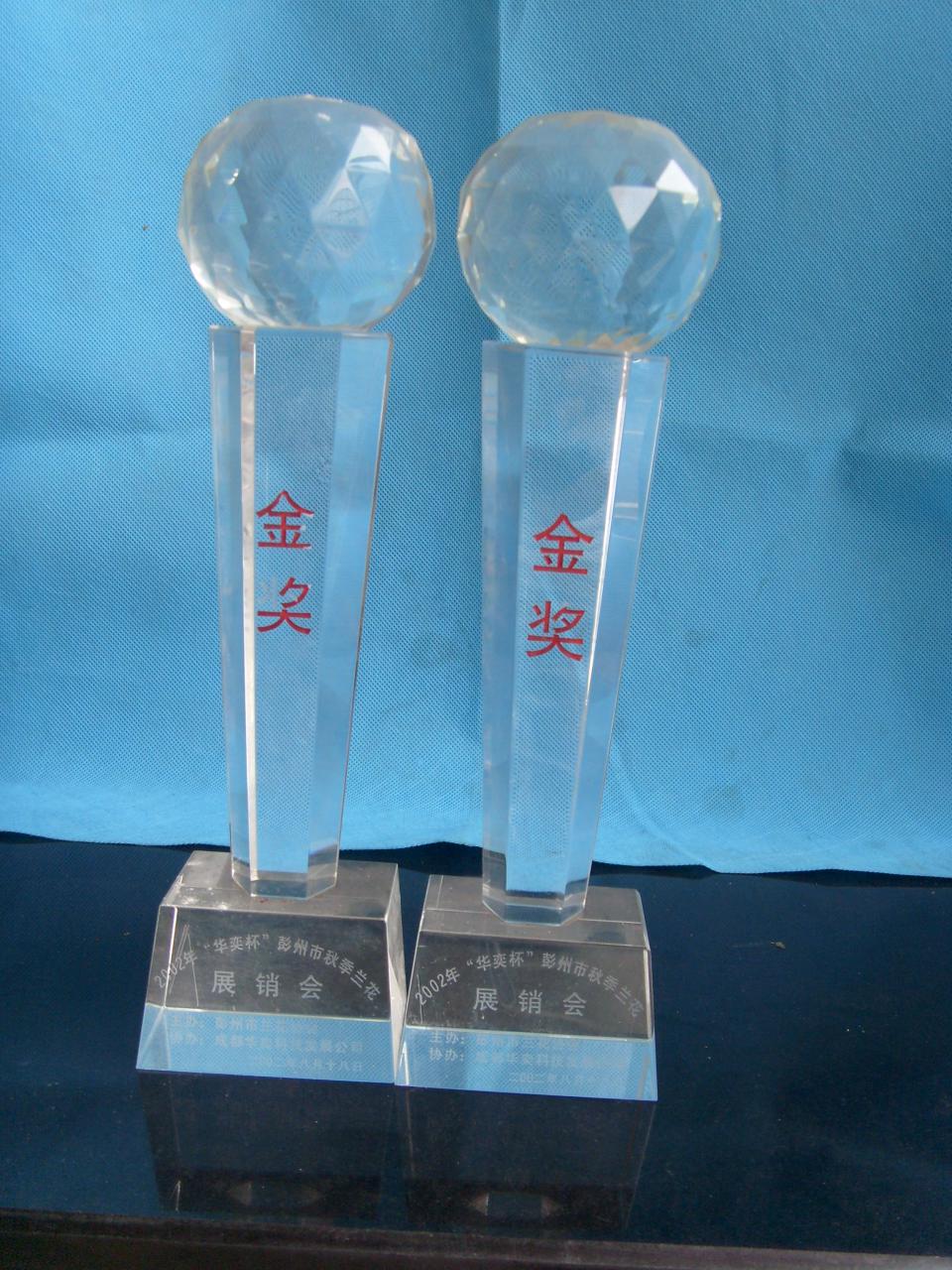 2002年“华奕杯”彭州秋季兰花博览会-金奖