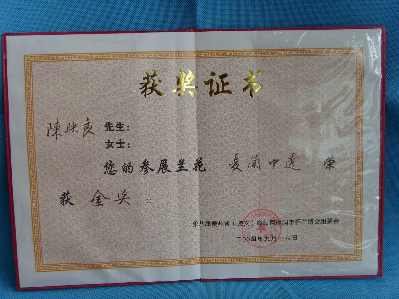 2004年第八届贵州省遵义海峡两岸（润丰杯）兰花博览会-夏兰中透-金奖