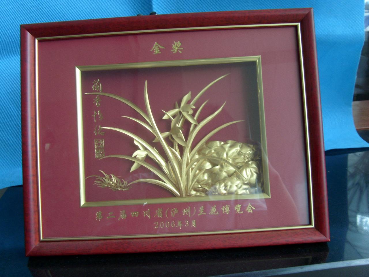 2006四川省第二届（泸州）兰花博览会-金奖